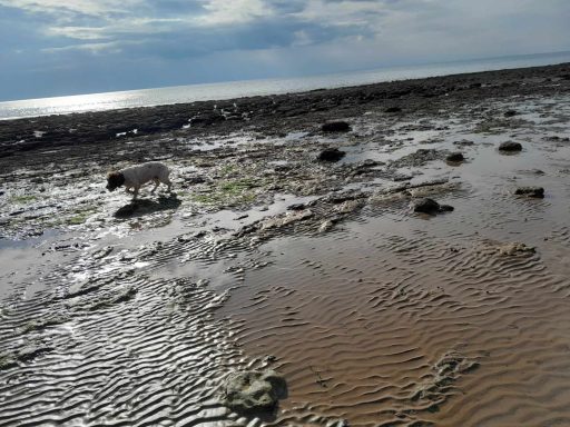 Low tide, Hunstanton