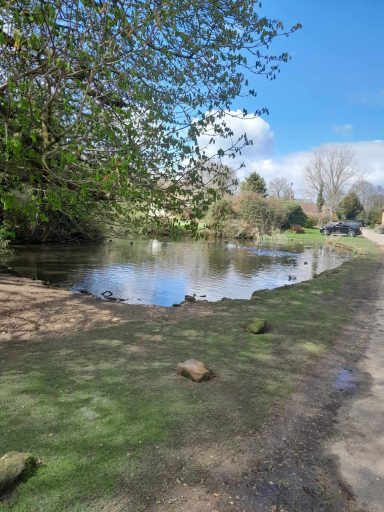 Old Hunstanton Duck Pond