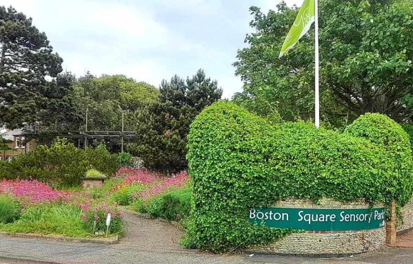 A garden with a flag